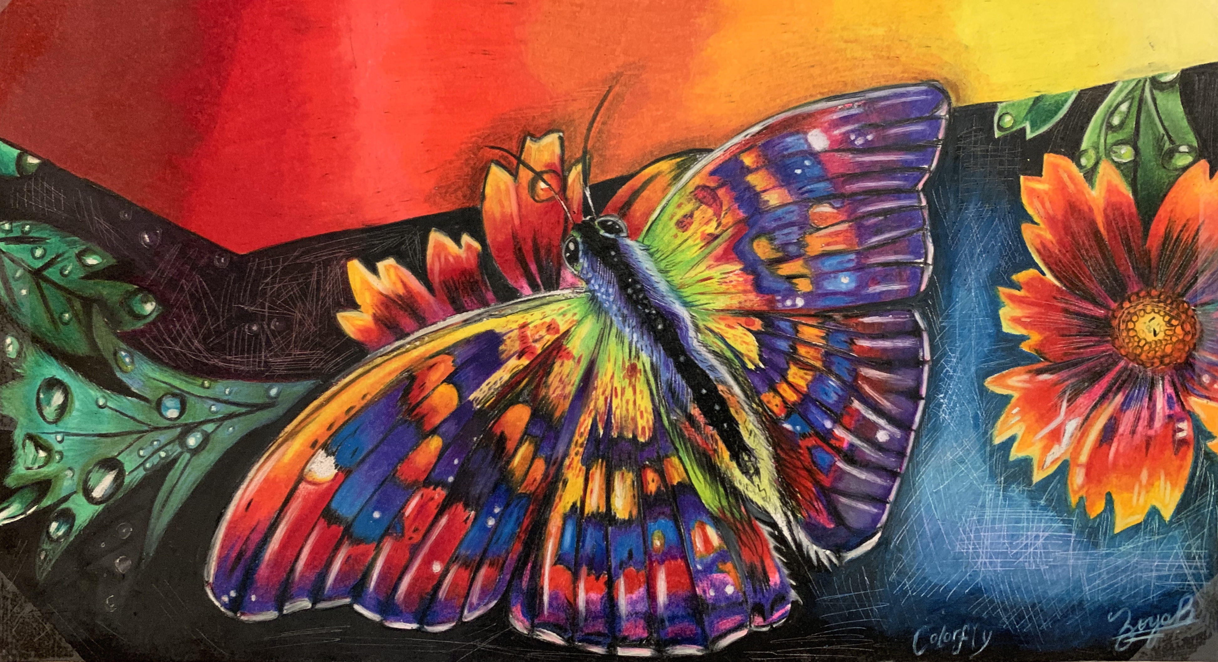 Butterfly Drawing