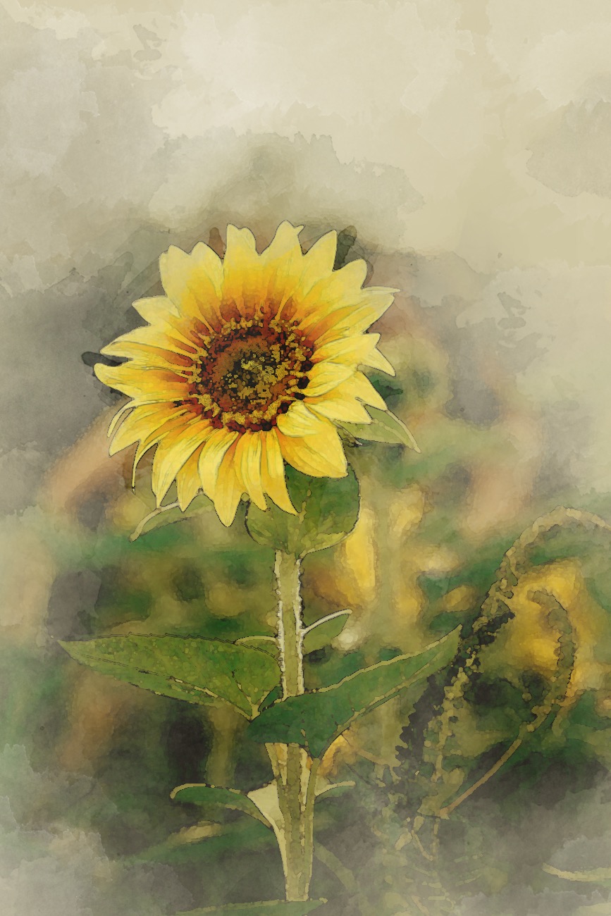Digital Sunflower Painting