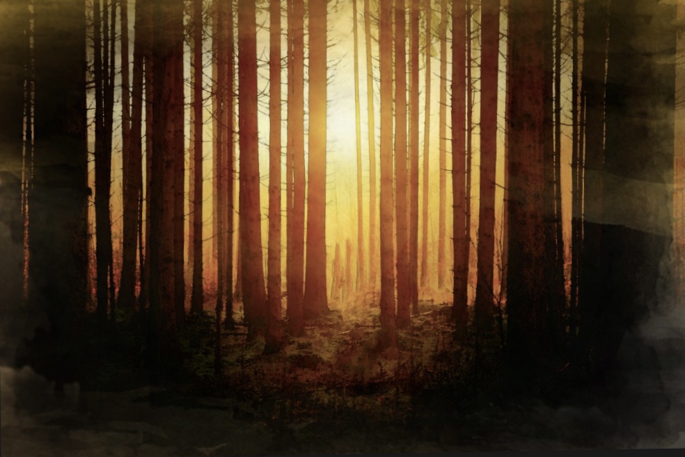 Digital Forest Painting